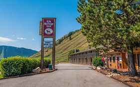 Elk Refuge Inn Jackson Wyoming